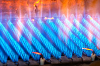 Whitecraig gas fired boilers